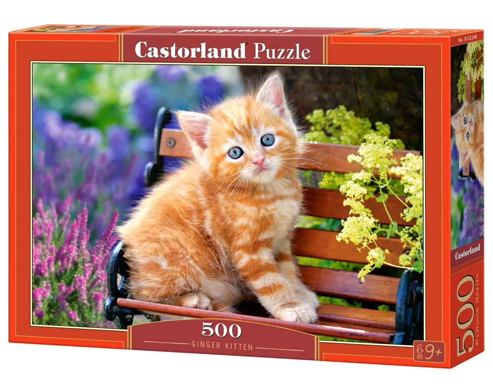 Castorland Puzle Ginger kitten 500 gabali