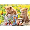 Пазл Castorland Tea Time 500 шт Photo 2