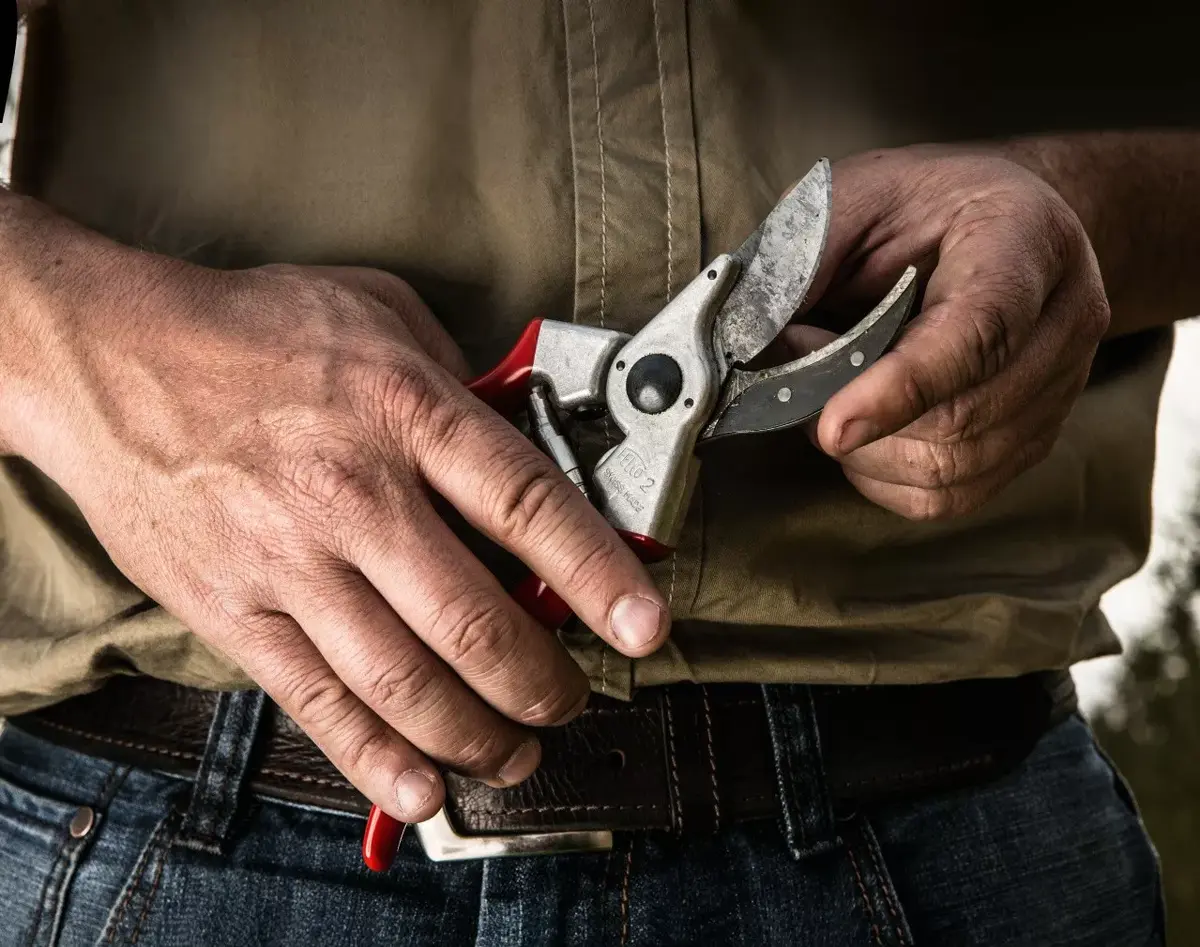 Секатор Felco 2 Photo 3