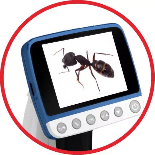 Цифровой микроскоп Reflecta DigiMicroscope Professional 500x Photo 2
