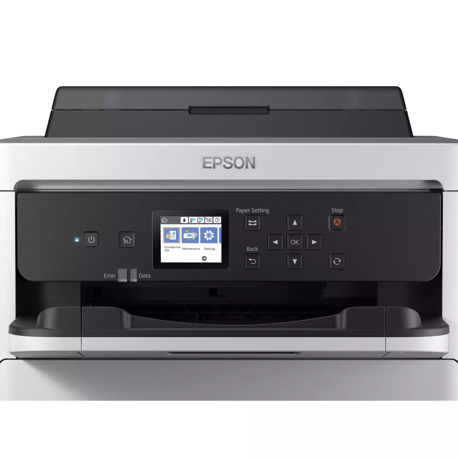 Epson C11CG79401BM Photo 4