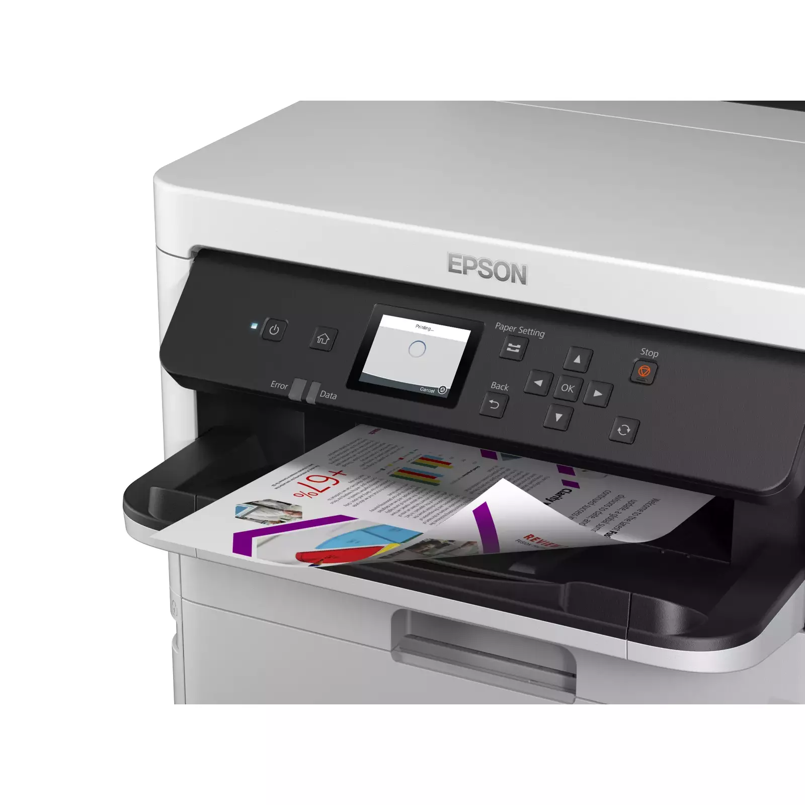 Epson C11CG79401BM Photo 5