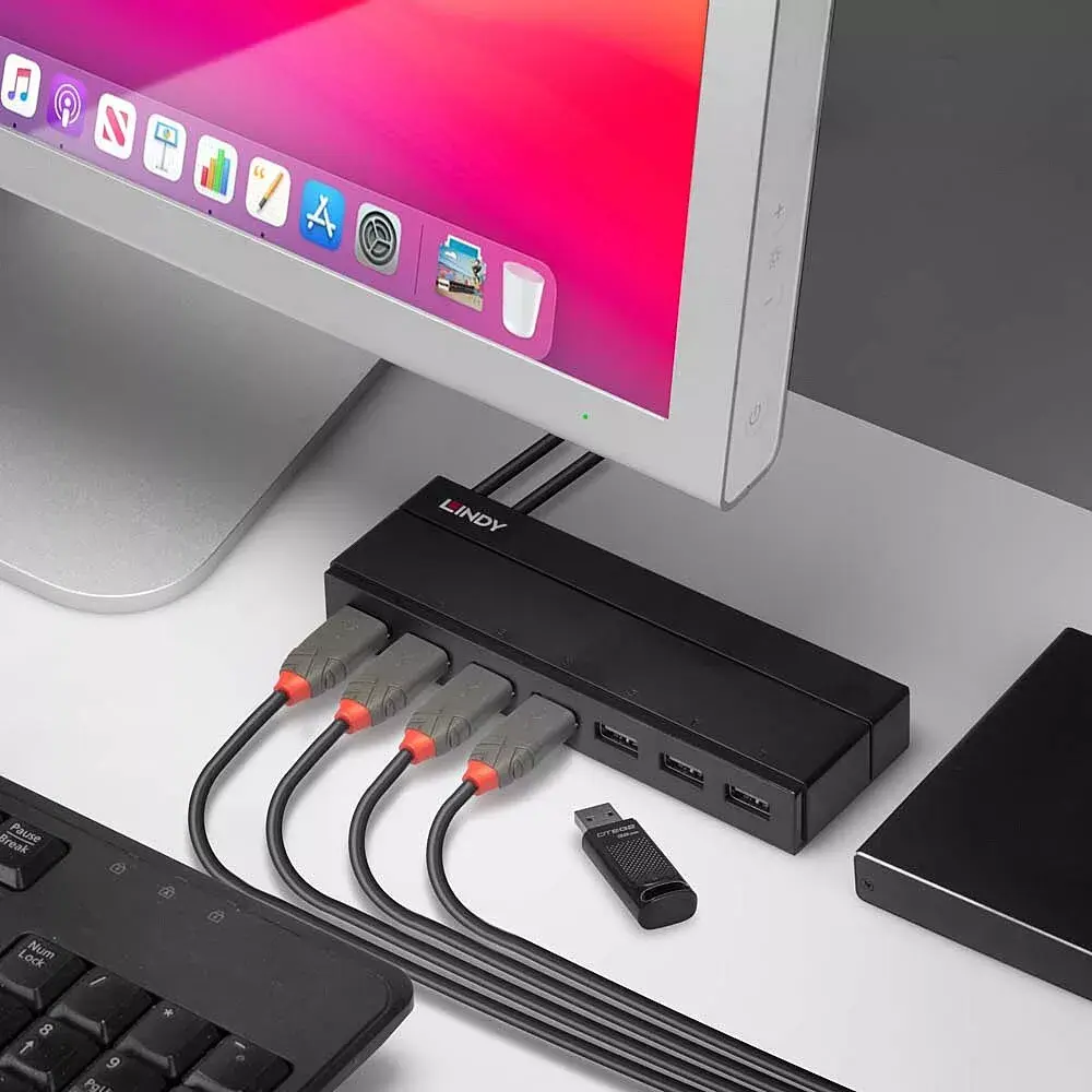 USB Хаб Lindy 7 Port Photo 5