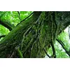 Объектив Sony SEL55F18Z Photo 6