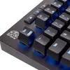 Механическая клавиатура THERMALTAKE Neptune PRO TTC Blue Photo 3