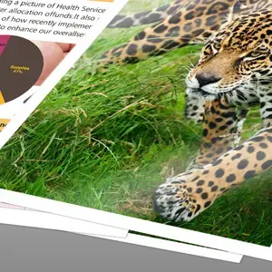 Идеальное партнерство для печати с чернилами Epson