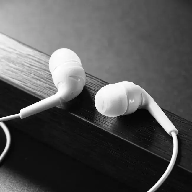 Earphones Hoco M40 Photo 6
