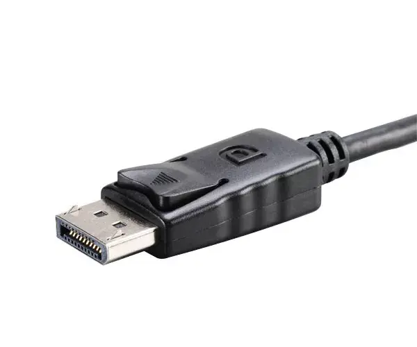 Video kabeļa adapteris Akasa AK-CBDP04-20BK Photo 3
