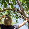 Лопата с байпасом Fiskars 1020187 Photo 3