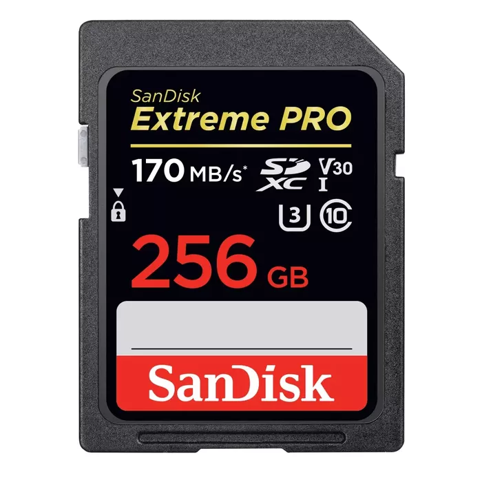 SANDISK SDSDXXY-256G-GN4IN Photo 1