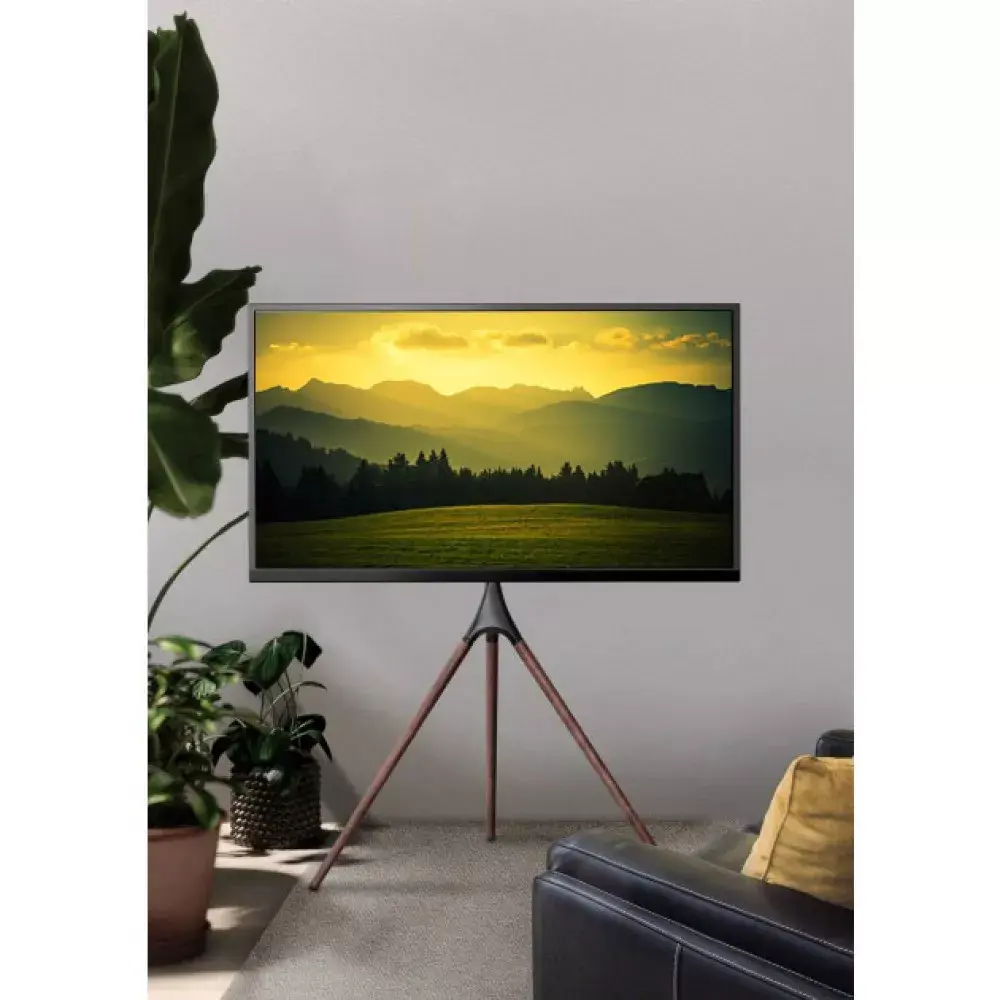 Grīdas TV stiprinājums TECHLY ICA-TR18SAM 45"–65" Photo 13