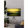 Grīdas TV stiprinājums TECHLY ICA-TR18SAM 45"–65" Photo 13
