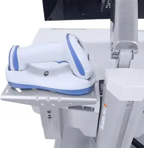 Mounting Arm Ergotron StyleView Silver