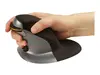 Vertikālā pele Fellowes Ambidextrous Vertical Mouse Small Photo 2