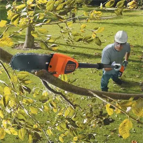 Pole saw Black & Decker GPC1820L20 18V 2Ah Photo 2