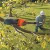 Pole saw Black & Decker GPC1820L20 18V 2Ah Photo 2