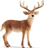 Figure Schleich WILD LIFE White-tailed buck 14818 Photo 2