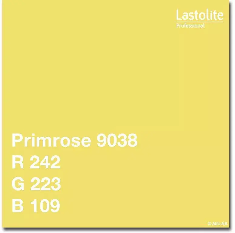 Fons Lastolite Manfrotto LL LP9038 2,72x11 m Photo 2