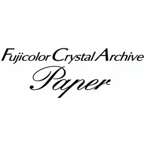 Photo Paper Roll Fujifilm Paper Fuji CA 10.2mm x 186m matte — studio background paper