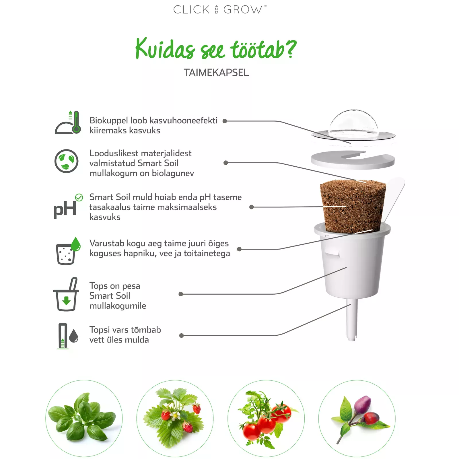 Click Grow Smart Garden AiO.lv