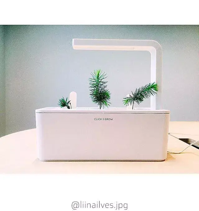 Refill Click & Grow Experimental Photo 4