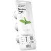 Herb Refill Click & Grow Sage — 3 pcs Photo 2
