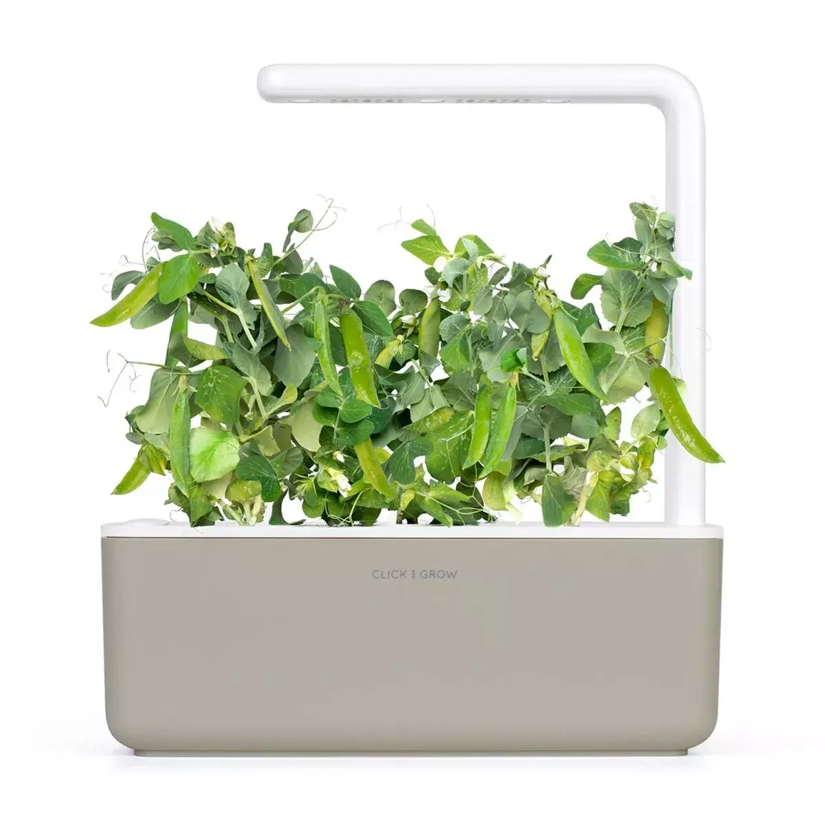 Aizpildījums Click & Grow Dwarf Pea Photo 3