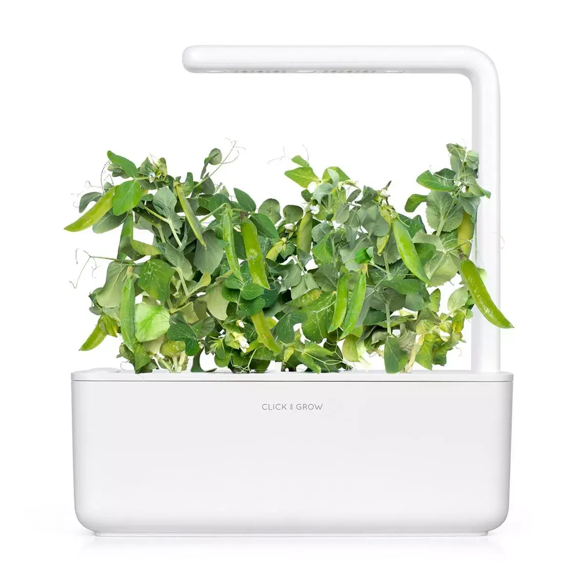 Aizpildījums Click & Grow Dwarf Pea Photo 5