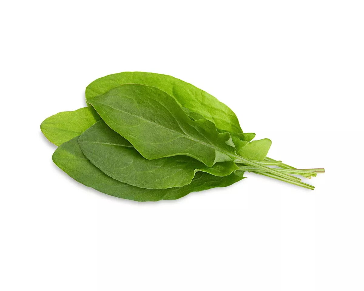 Aizpildījums Click & Grow GREEN SORREL