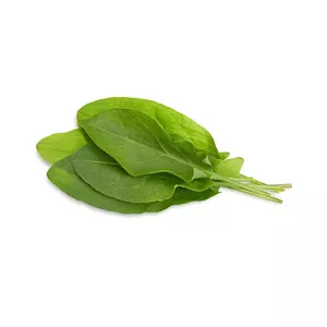 Click & Grow SGR55x3 3 pcs Uzpildāms