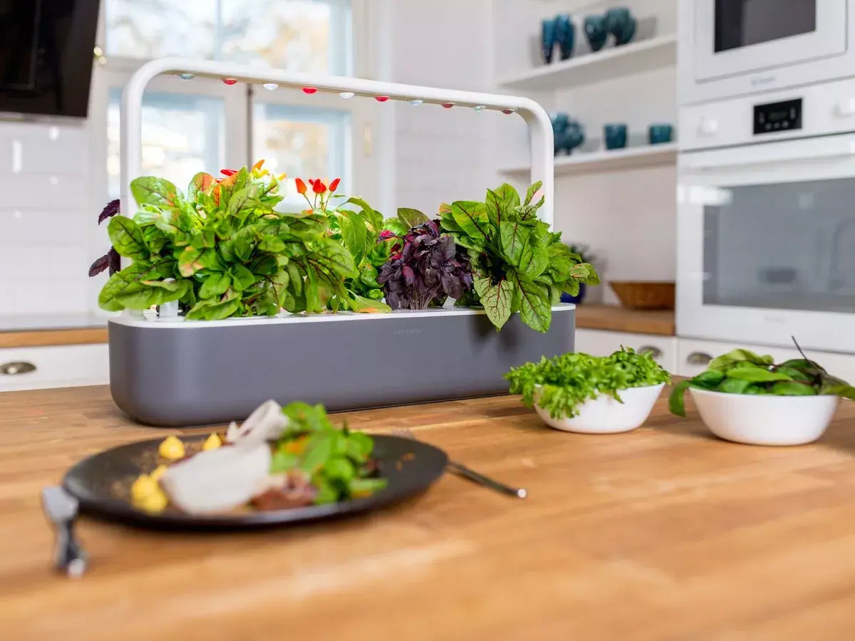 Mājas dārzs Click & Grow Smart Garden 9 Photo 3