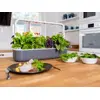 Mājas dārzs Click & Grow Smart Garden 9 Photo 3