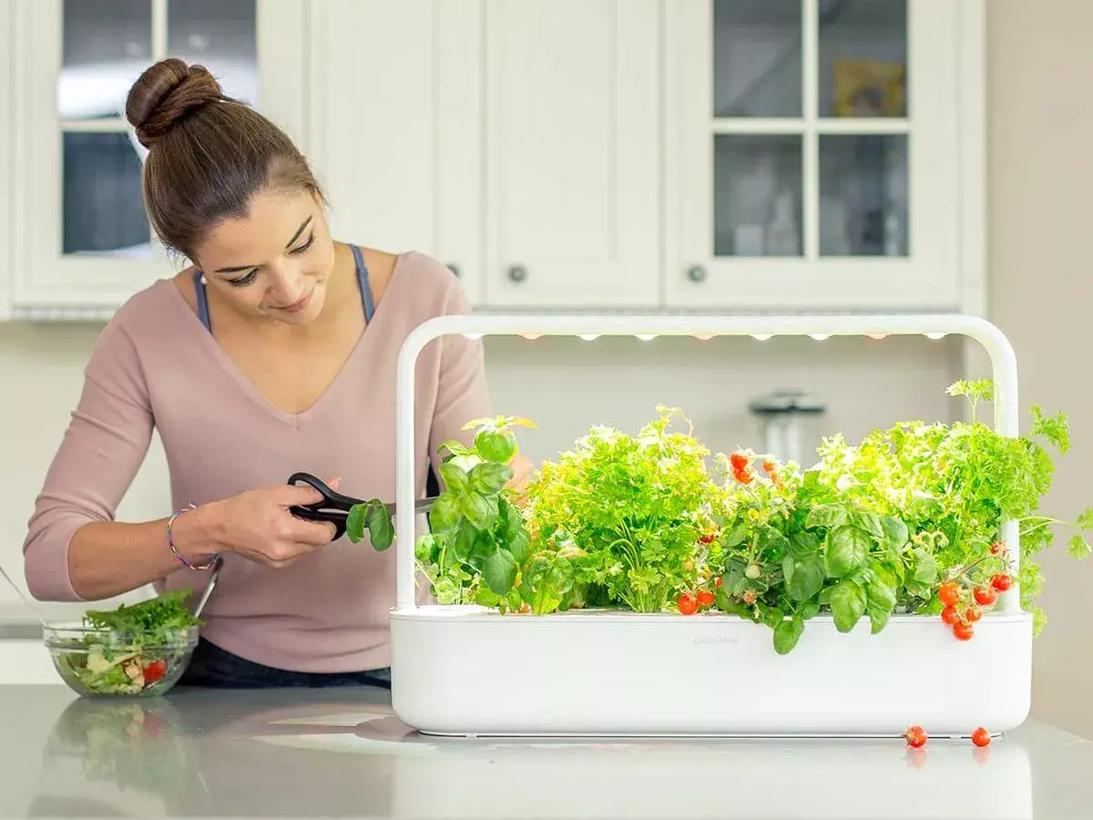 Mājas dārzs Click & Grow Smart Garden 9 Photo 6