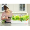 Mājas dārzs Click & Grow Smart Garden 9 Photo 6