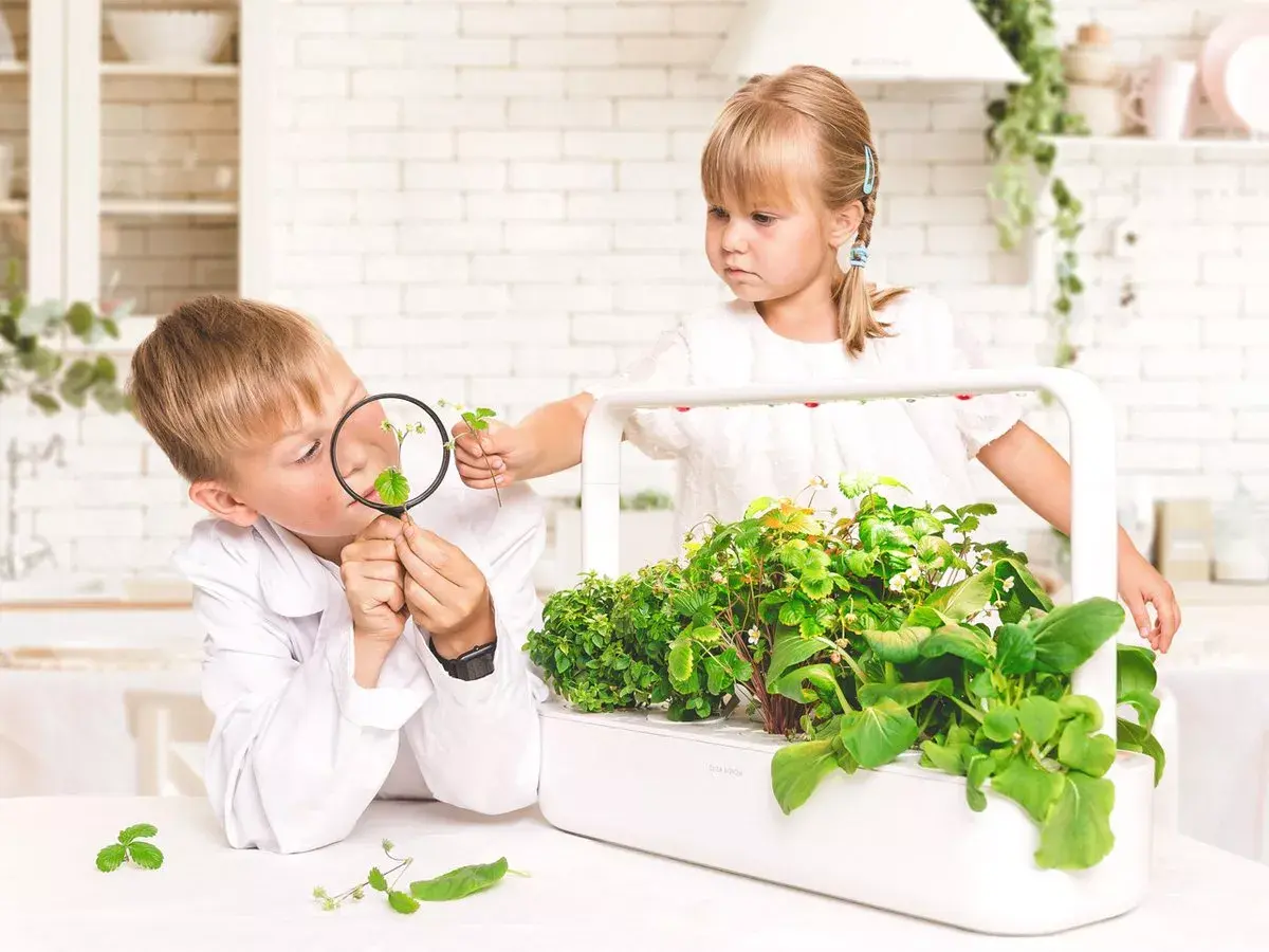 Mājas dārzs Click & Grow Smart Garden 9 Photo 7