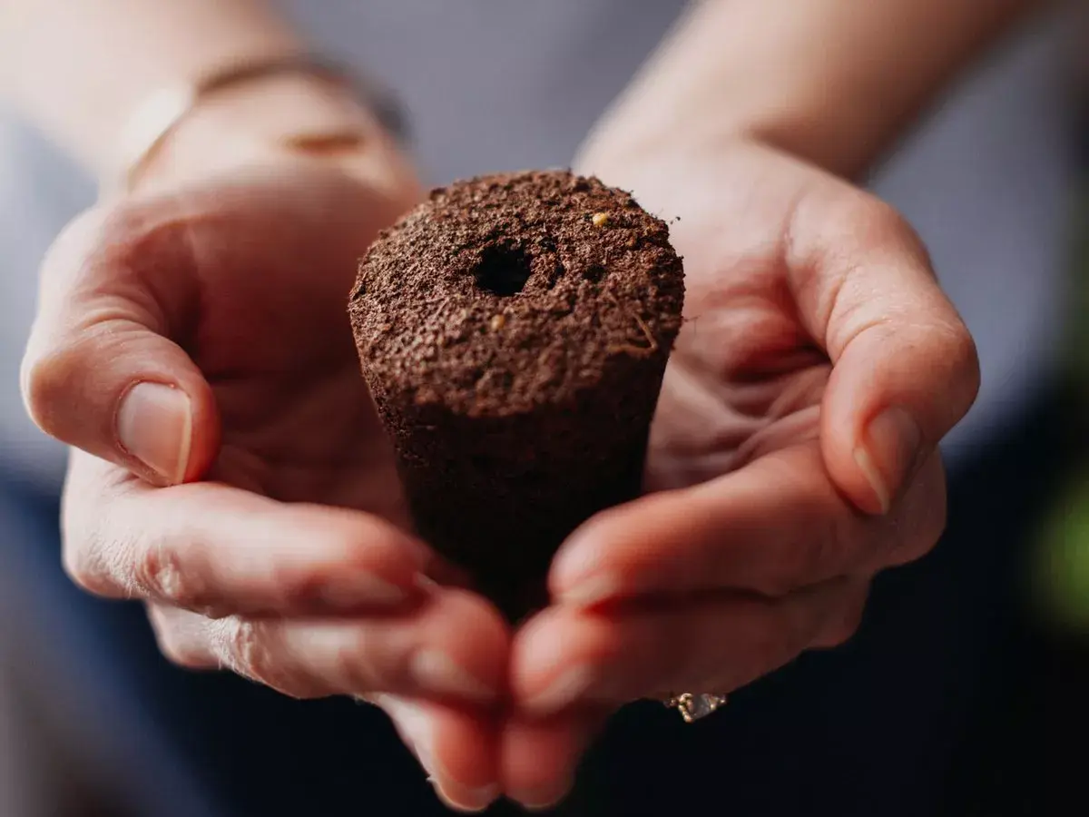 Mājas dārzs Click & Grow Smart Garden 9 Photo 9