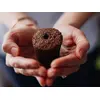 Mājas dārzs Click & Grow Smart Garden 9 Photo 9