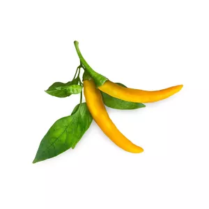 Click & Grow YELLOW CHILI PEPPER PLANT PODS