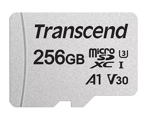 Флеш-память Transcend 256ГБ TS256GUSD300S-A Photo 2