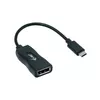 USB-C Display Port Adapter i-tec C31DP60HZP Photo 3