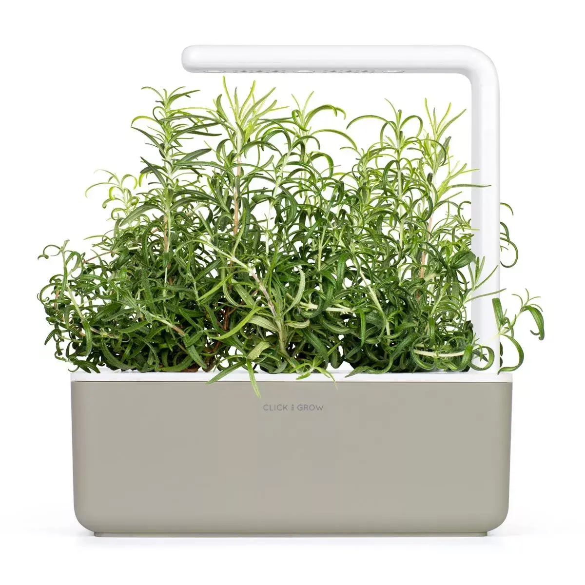 Refill Click & Grow Rosemary Plant Pods Photo 3
