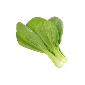 Refill Click & Grow PAK CHOI PLANT PODS