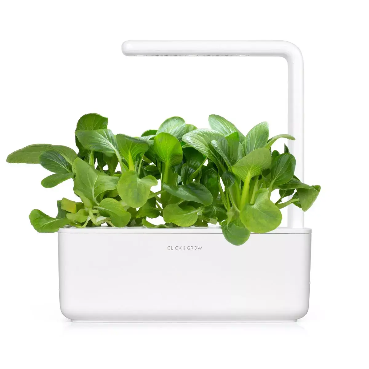 Refill Click & Grow PAK CHOI PLANT PODS Photo 3