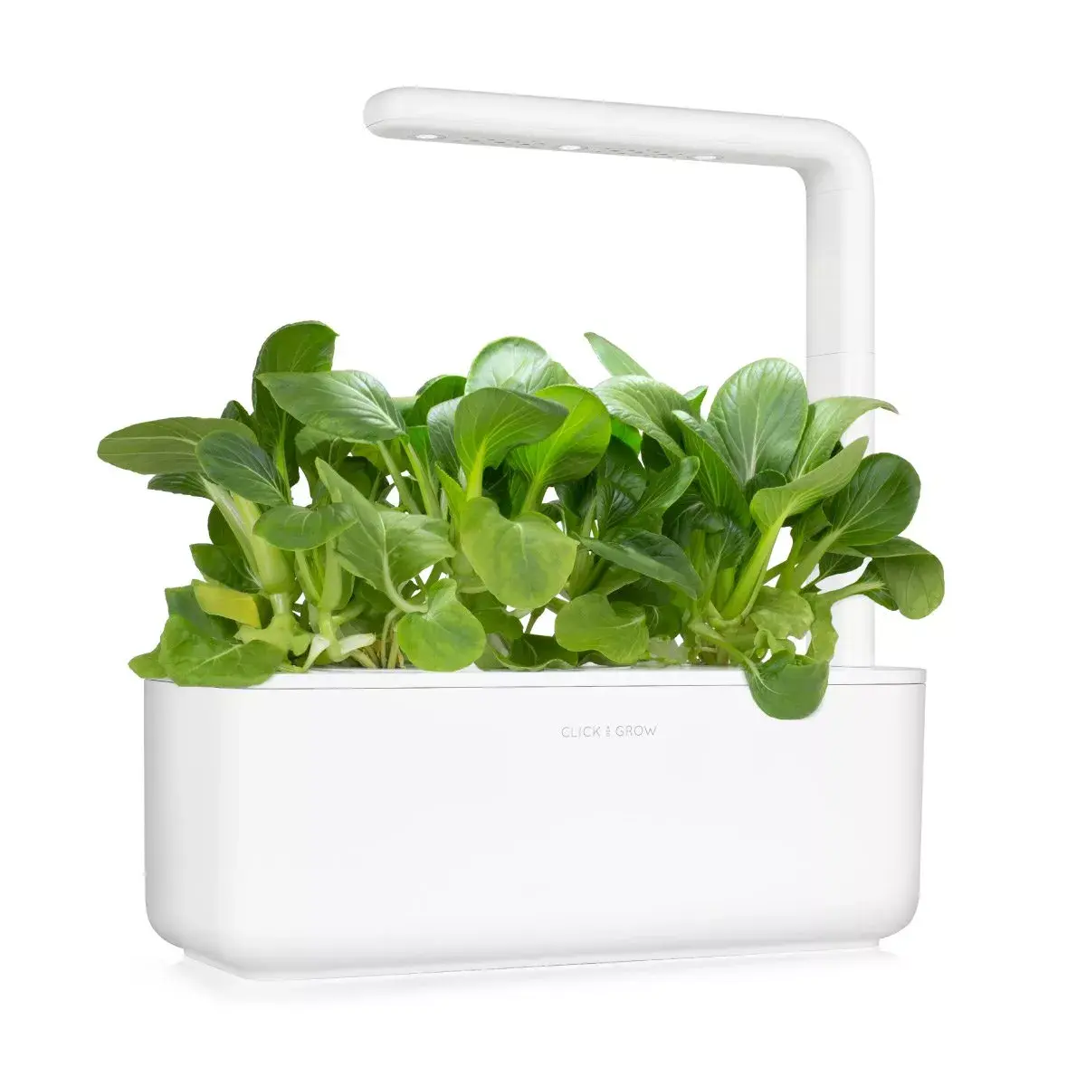Refill Click & Grow PAK CHOI PLANT PODS Photo 4