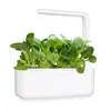Refill Click & Grow PAK CHOI PLANT PODS Photo 4