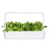 Refill Click & Grow PAK CHOI PLANT PODS Photo 5