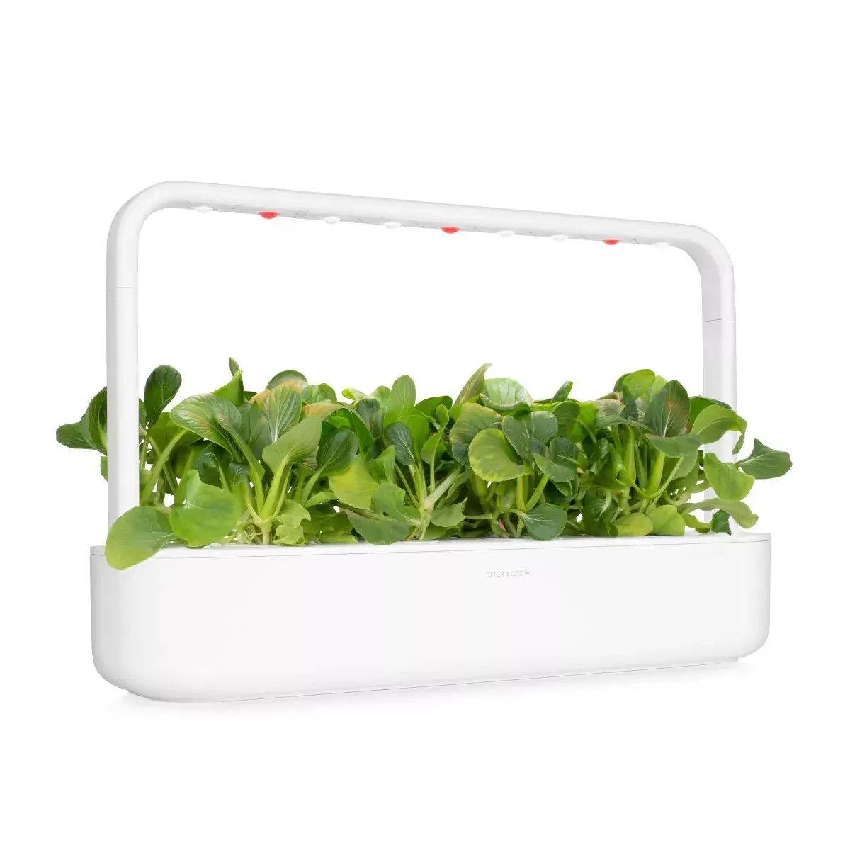 Refill Click & Grow PAK CHOI PLANT PODS Photo 6