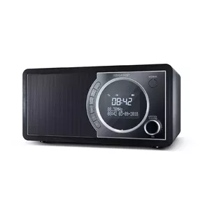 Personal Radio Sharp DR-450