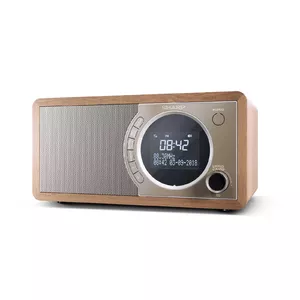 Personal Radio Sharp DR-450