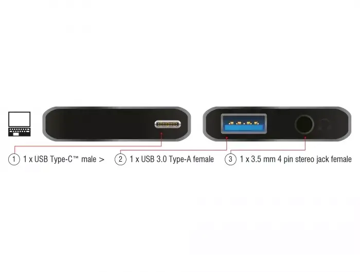 Laptop Dock DeLOCK 63965 Photo 3